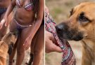 If your dog is sniffing your genital area, it means you have…see more.